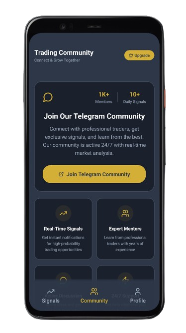 Mentor performance dashboard